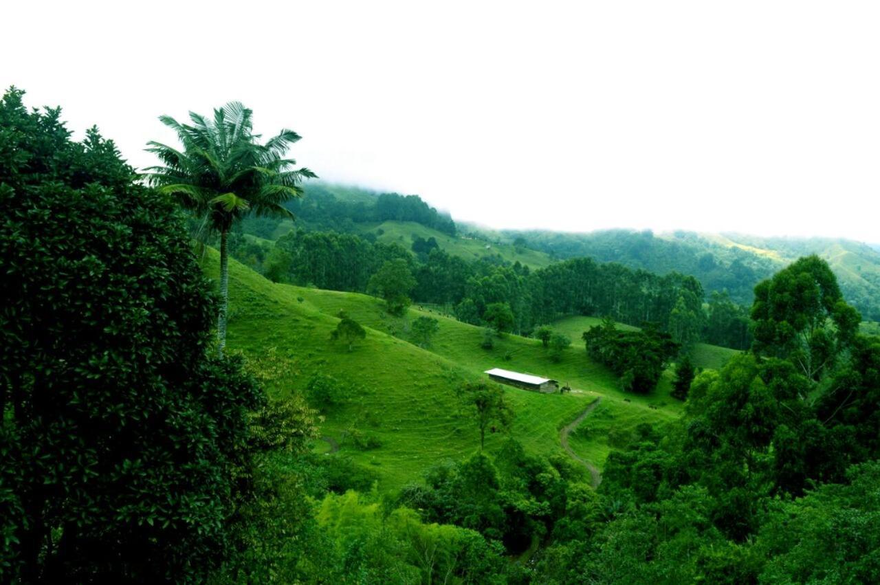 Mirador De Los Cedros 萨兰托 外观 照片